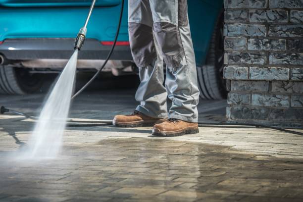 Best Paint Preparation  in Trinidad, CO